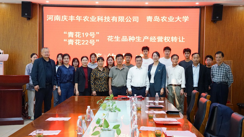 一颗花生的高产高油史